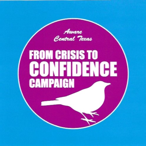 ddfloww-web-design-san-antonio-crisistoconfidence-logo