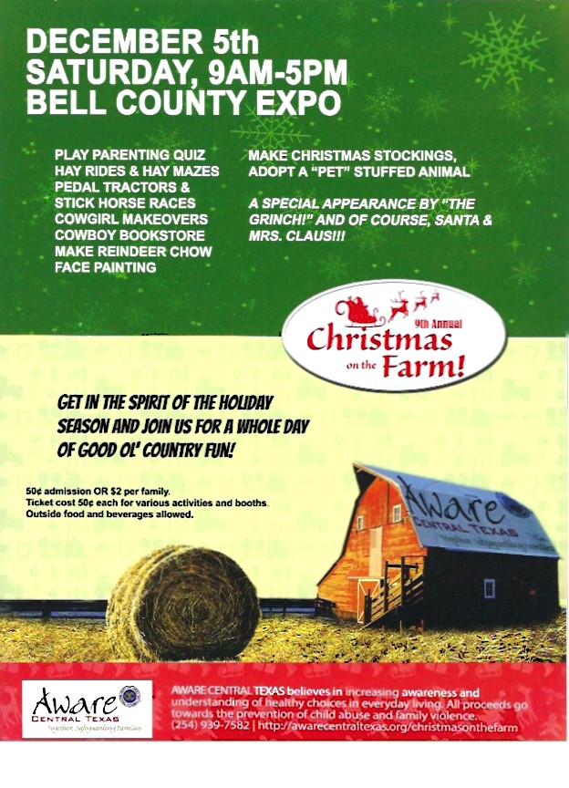 ddfloww-web-design-san-antonio-xmasonthefarm-flyer